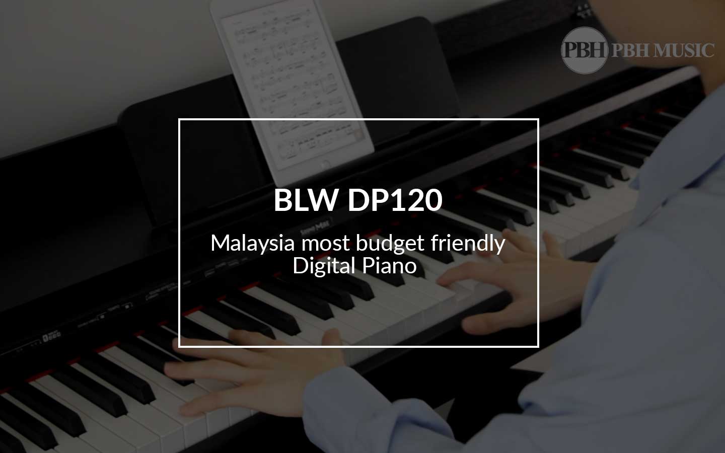 Load video: BLW DP110 88 keys Digital Piano
