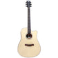 BLW Fortis Series F41D-SSP Dreadnought Acoustic Guitar