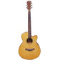 PB SM40C Solid Top Acoustic Guitar