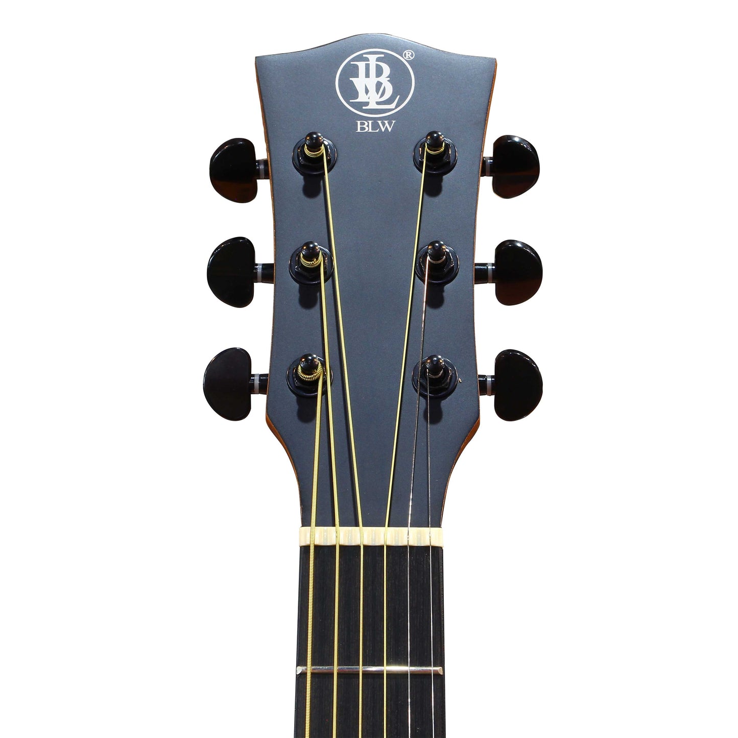 BLW Fortis Series F41D-SSP Dreadnought Acoustic Guitar