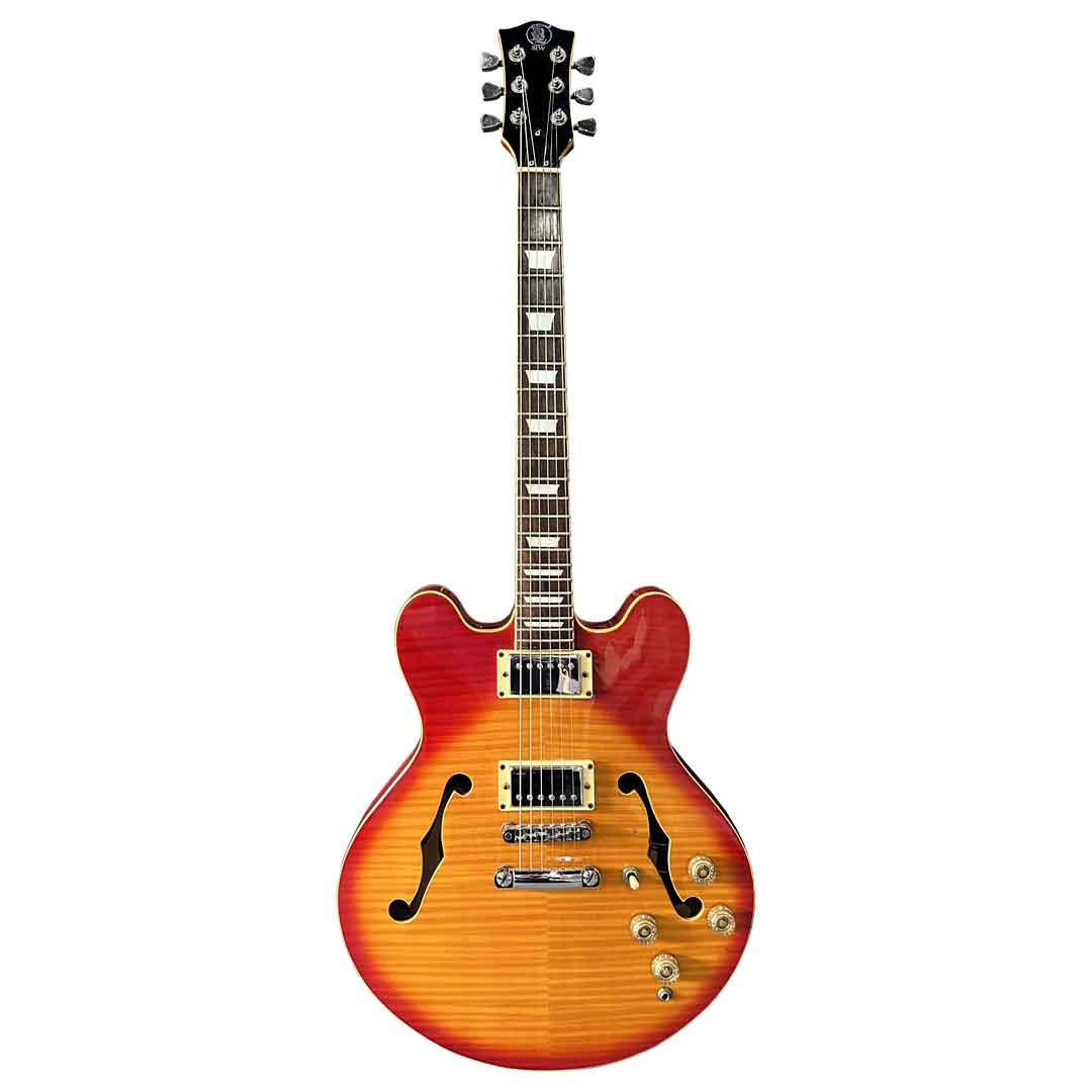 BLW J10 Semi Hollow Electric Guitar [B Stock]