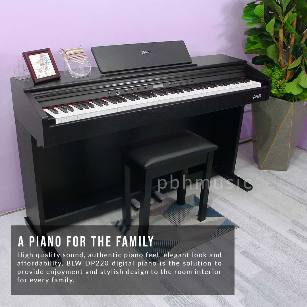 BLW DP220 88- Key Hammered Weighted Keys Family Digital Piano with built-in Cover and Bench