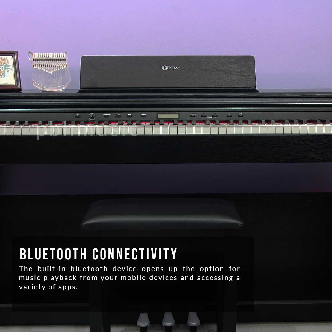 BLW DP220 88- Key Hammered Weighted Keys Family Digital Piano with built-in Cover and Bench