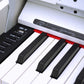 BLW DP210 88-key Digital Piano