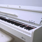 BLW DP210 88-key Digital Piano