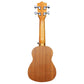 BLW US21A Soprano Standard Ukulele