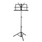 BLW S-MS Music Stand with Carrying Bag