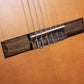 BLW CG39SSR Solid Cedar Top Rosewood Side and Back Nylon String Classical Guitar