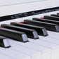 BLW DP210 88-key Digital Piano