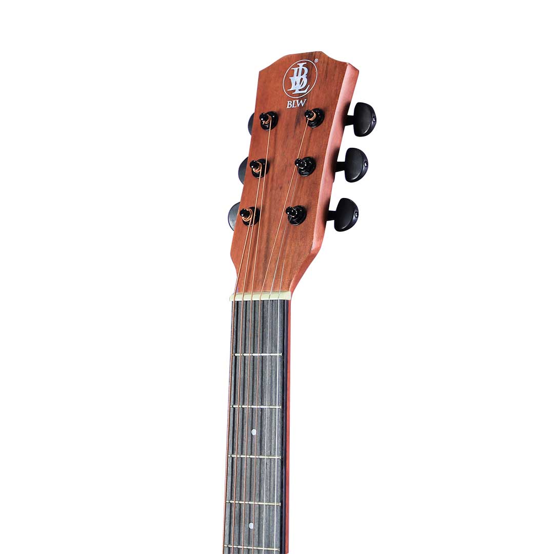 Guitar collection sdn deals bhd