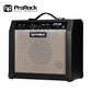 ProRock GT25 Guitar Combo Amplifier